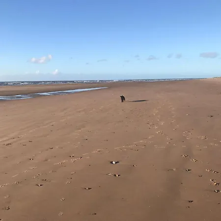 Combe-n-sea *