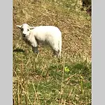 Nyaraló Combe-n-sea