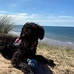 Combe-n-sea Haverigg