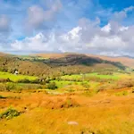 Combe-n-sea Nyaraló