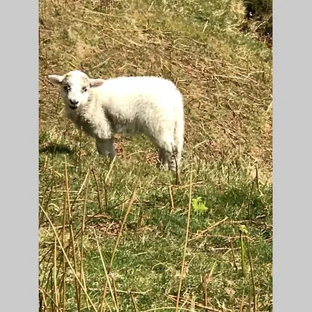 Prázdninový dům Combe-n-sea