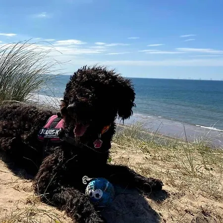 Combe-n-sea Haverigg