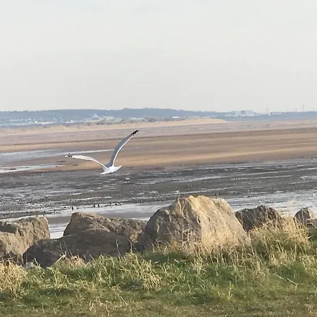 Combe-n-sea